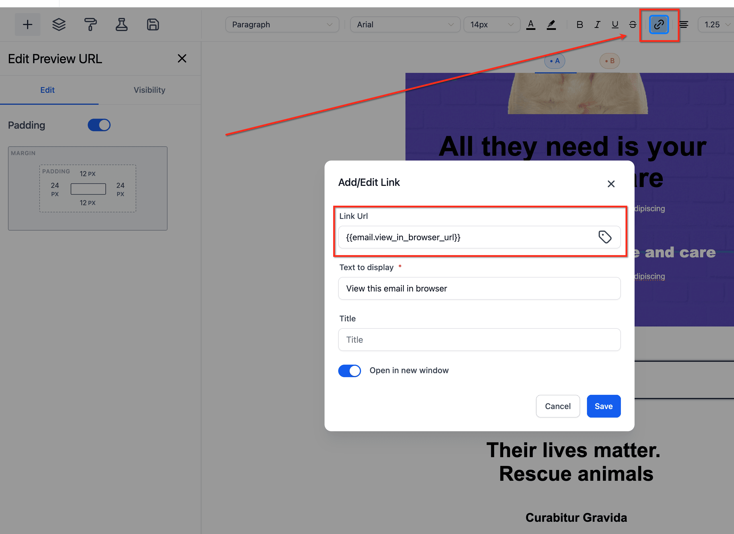 Personalizar el texto de Preview URL